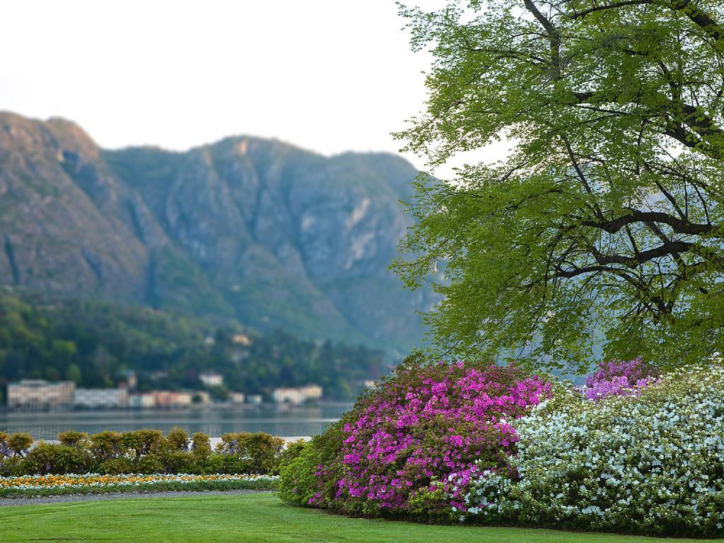 Colibri Lakeview Apartment ベッラージョ 部屋 写真